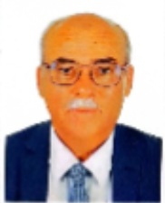 Jamel Eddine Zrelii